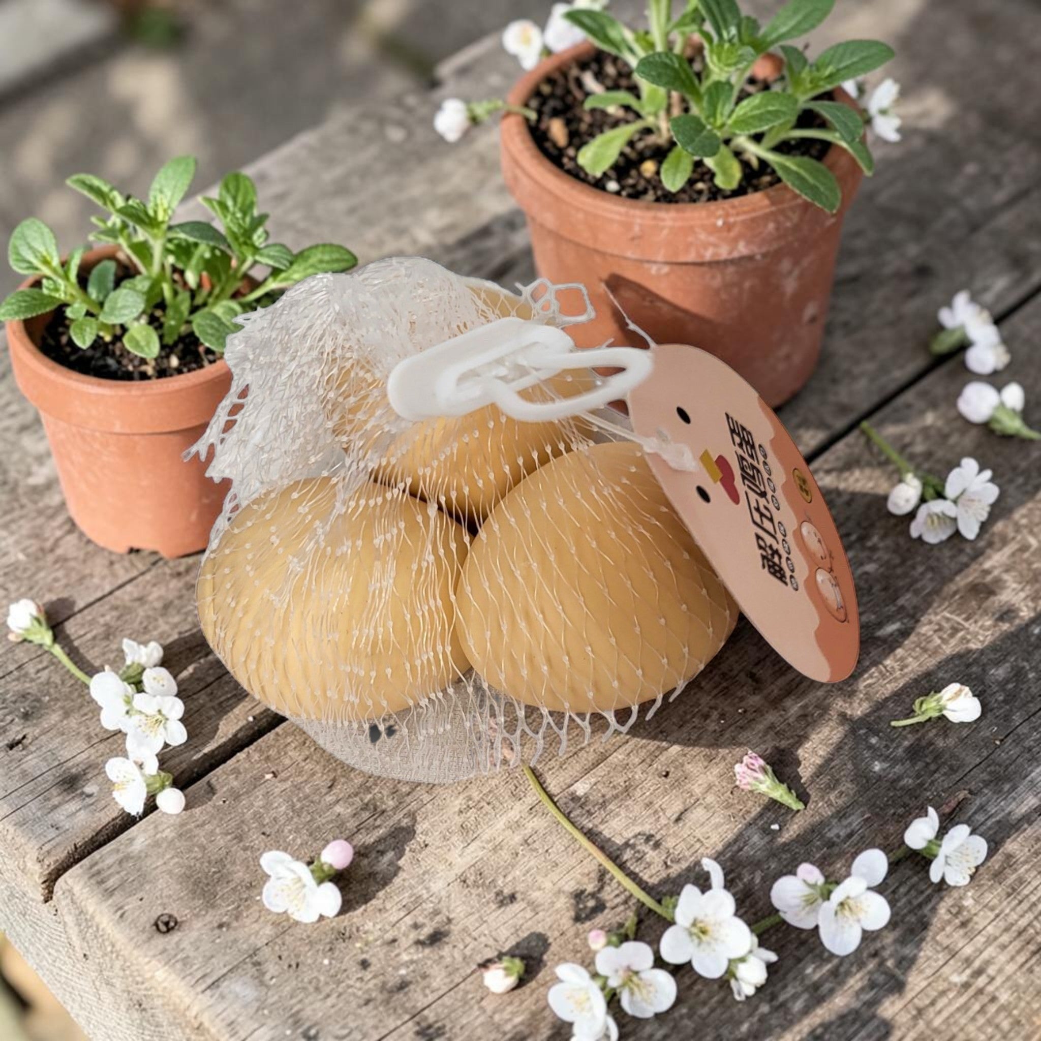 Tiny Tokens brown egg squeeze toys in a mesh bag, realistic design for sensory play and stress relief.