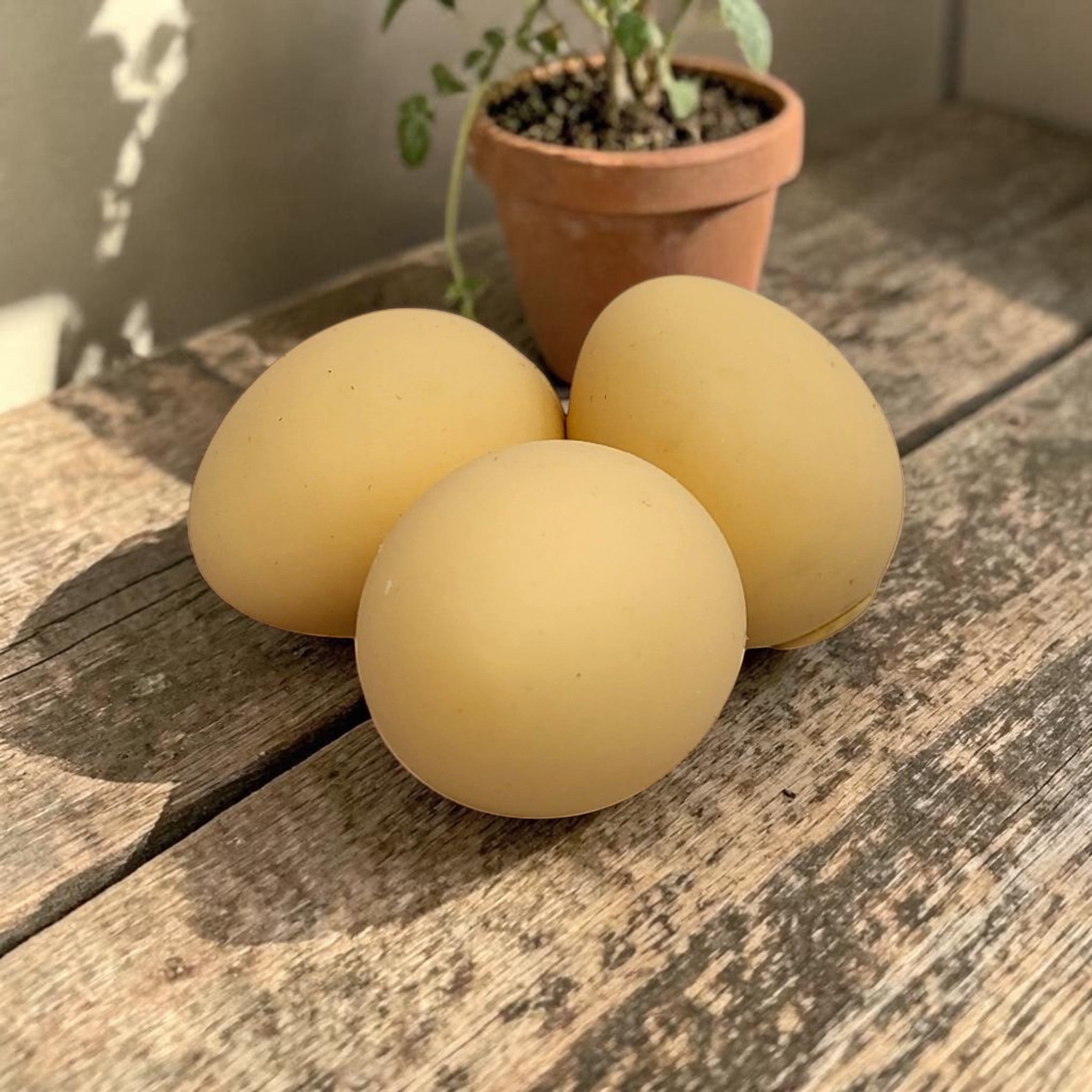Tiny Tokens realistic brown egg squeeze toys for kids, soft rubber sensory stress relief balls.